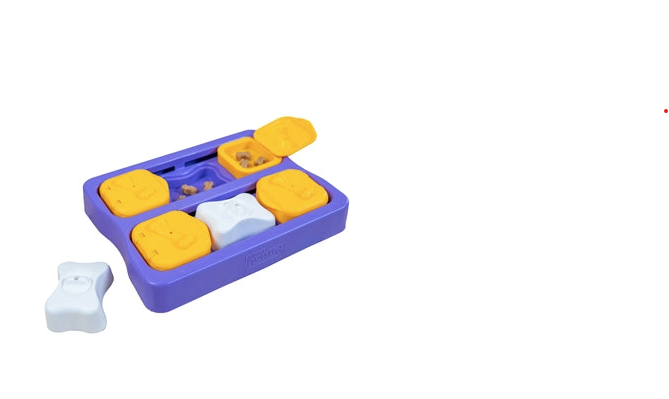 Hond Verwenpakket Werelddierendag