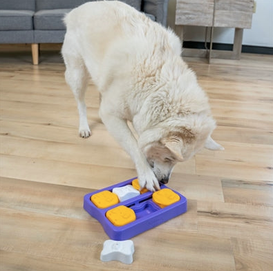 Hond Verwenpakket Werelddierendag